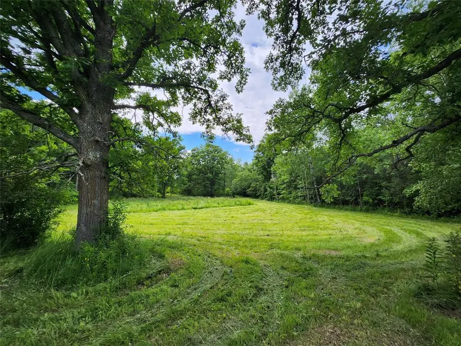 7 Acres Hwy F, Birchwood, WI 54817 - #2
