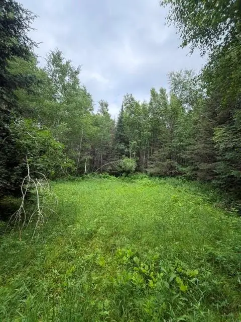 N 20 Acres 5th Ave, Trego, WI 54888