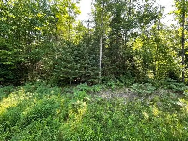 12552 County Highway T, Hayward, WI 54843