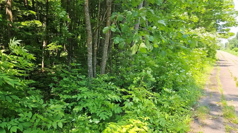 4687 Valesh Road, Couderay, WI 54828 - #3