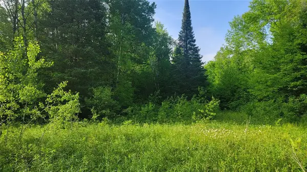40A On Doland Road, Winter, WI 54896