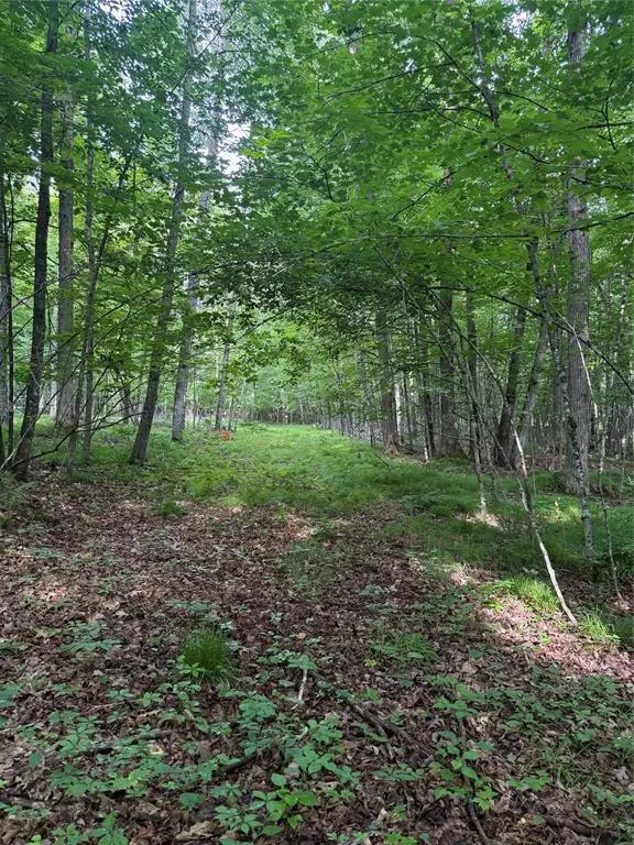 Lot 5 Flambeau Point Road, Ladysmith, WI 54848 - #3