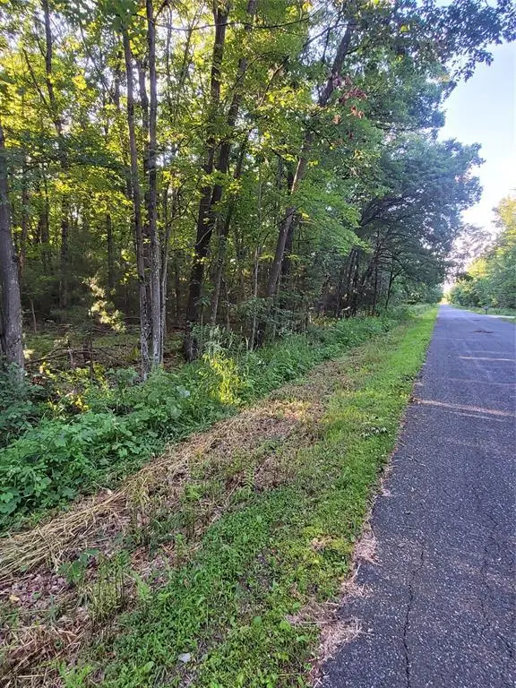 00  Lot 5 Old Highway 12, Merrillan, WI 54754 - #1