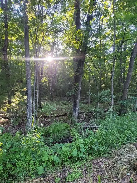 00  Lot 5 Old Highway 12, Merrillan, WI 54754 - #2