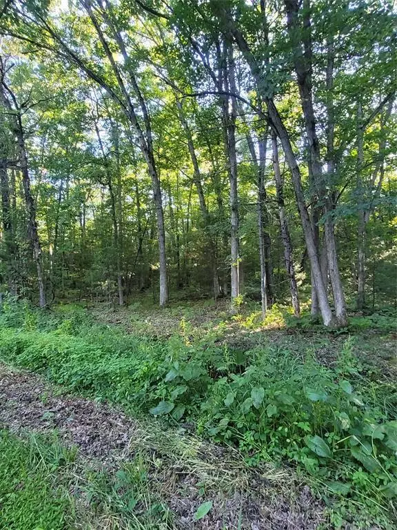 00  Lot 5 Old Highway 12, Merrillan, WI 54754 - #3