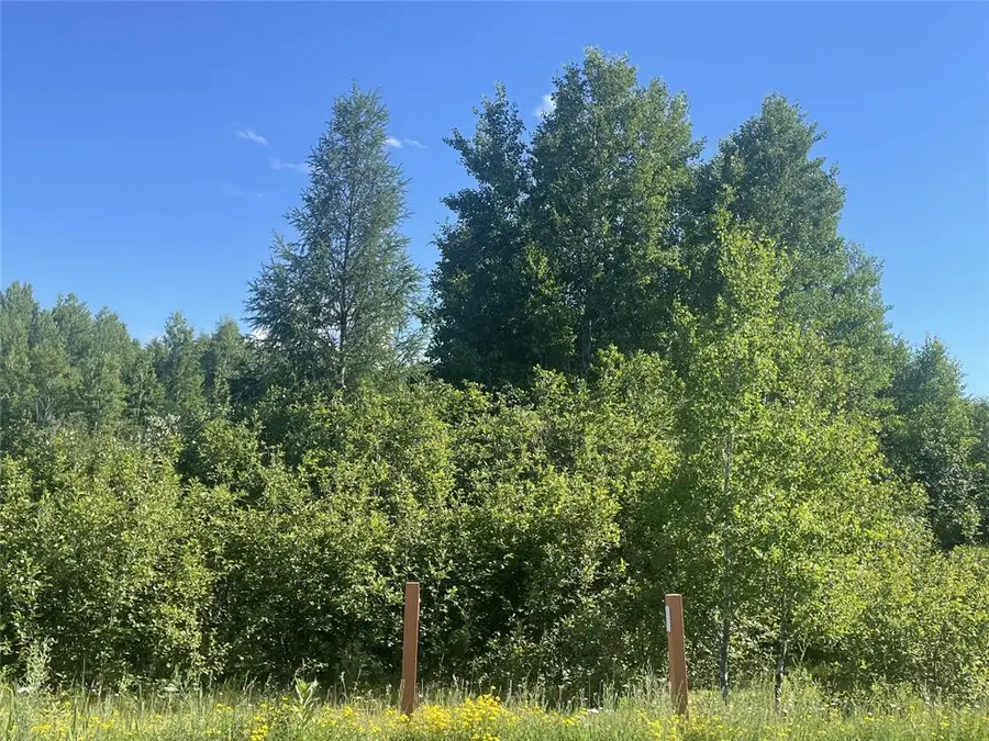 39+/- A on County Highway E, Iron Belt, WI 54536 - #2