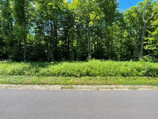 0 Dam Road, Ojibwa, WI 54896 - #2