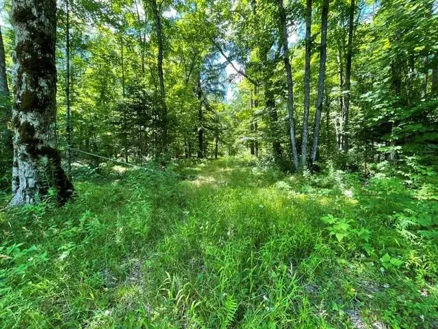 0 Dam Road, Ojibwa, WI 54896 - #3