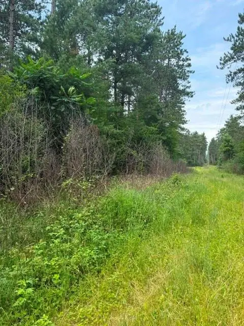 0 West Rd, Black River Falls, WI 54615