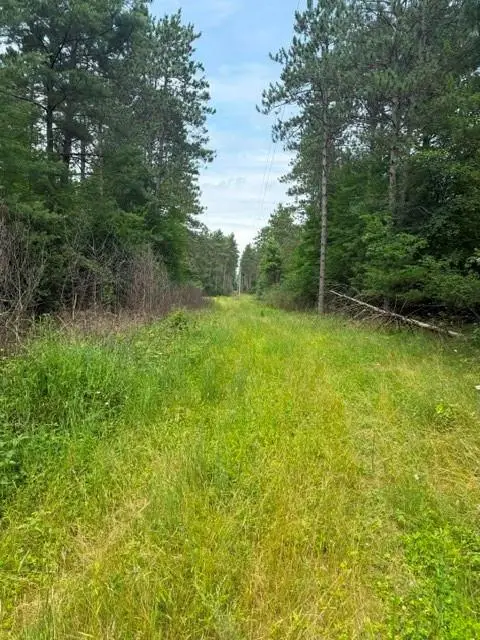 0 West Road, Black River Falls, WI 54615 - #3