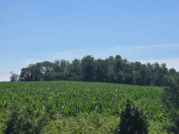 00 110th Street, Frederic, WI 54837