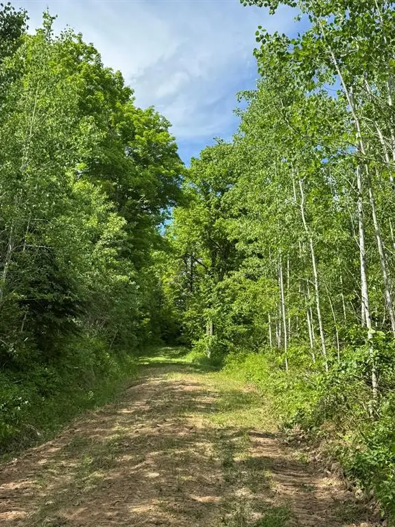 75134 West Road, Butternut, WI 54514