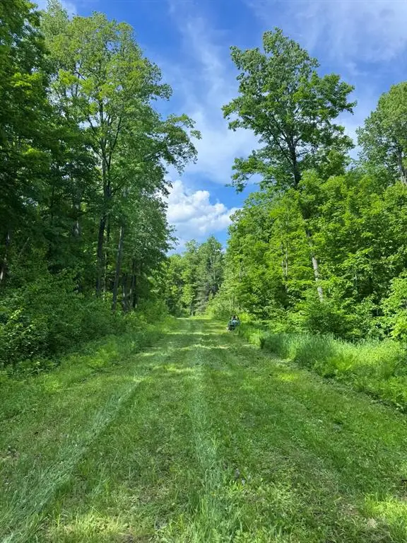 75134 West Road, Butternut, WI 54514 - #3