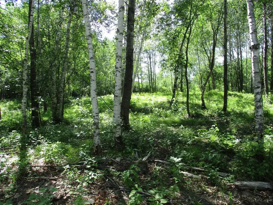 Lots #16 & #17 EDEN Avenue, Birchwood, WI 54817 - #2