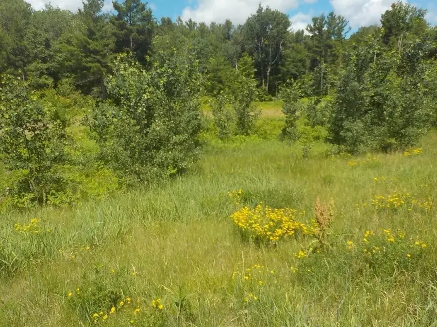 24361 Highway 35/70, Siren, WI 54872 - #2
