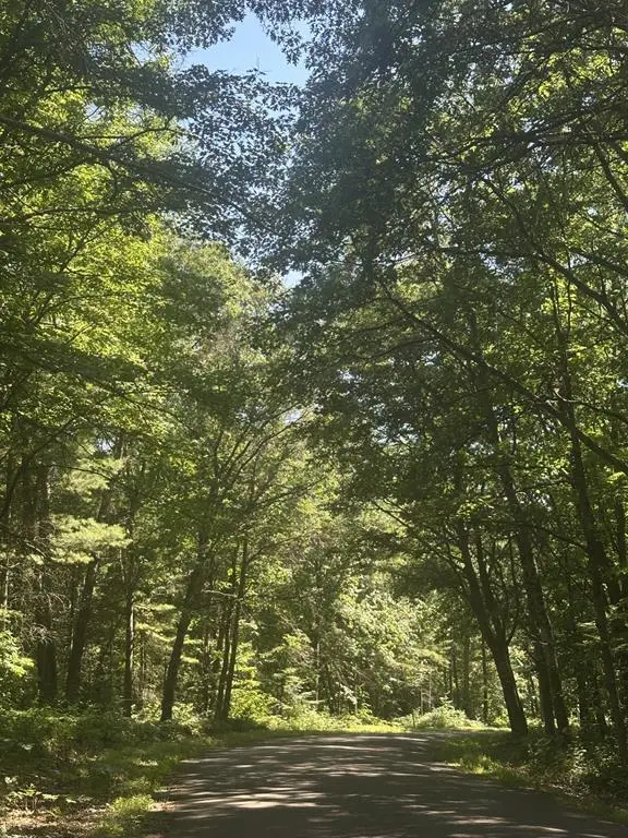 Lot 4 271st Street, Holcombe, WI 54745