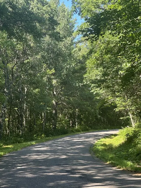 Lot 4 271st Street, Holcombe, WI 54745 - #2
