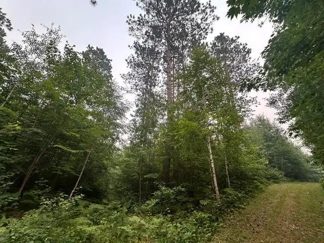 0 Kelly Lake Road, Barnes, WI 54873 - #2