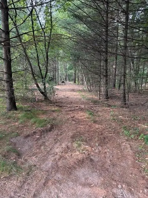 Lot 2 24 3/4 Street, Chetek, WI 54728 - #1