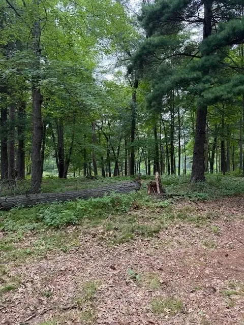 Lot 3 24 3/4 Street, Chetek, WI 54728 - #1
