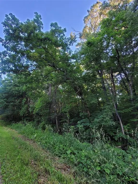 000  Lot 4 US Highway 12, Merrillan, WI 54754