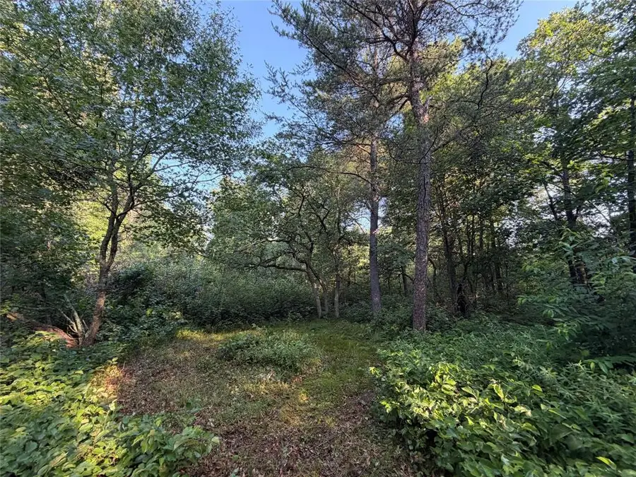 00000 Volkmann Lane, Grantsburg, WI 54840 - #2