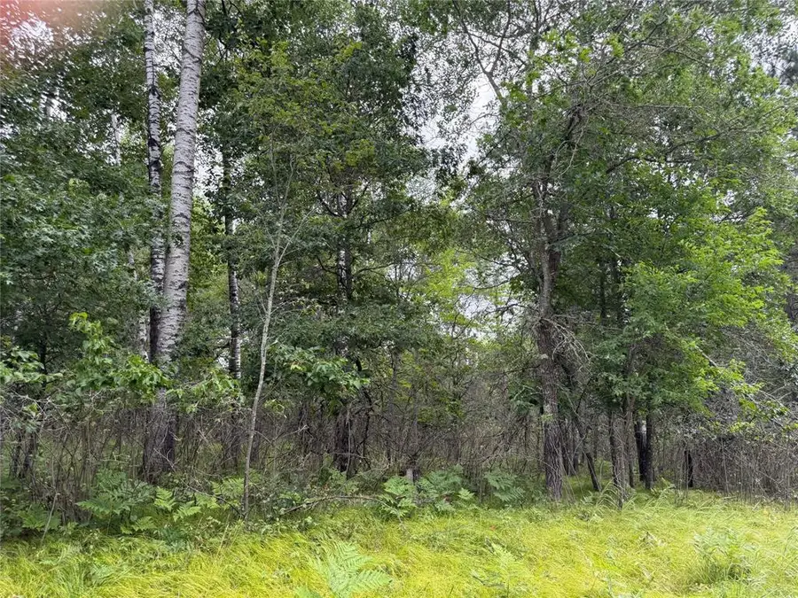 Lot 56 George Lake Road, Barnes, WI 54873 - #3