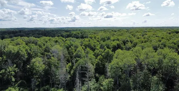 W10816 BERGMAN RD., Merrill, WI 54452