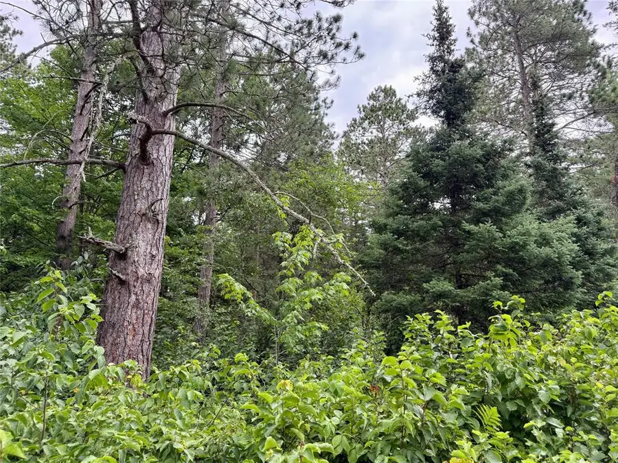Lot 23 Lake Lodge Drive, Cable, WI 54821 - #2