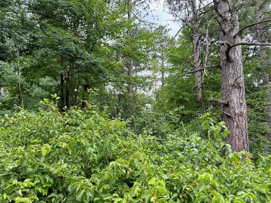 Lot 23 Lake Lodge Drive, Cable, WI 54821 - #3