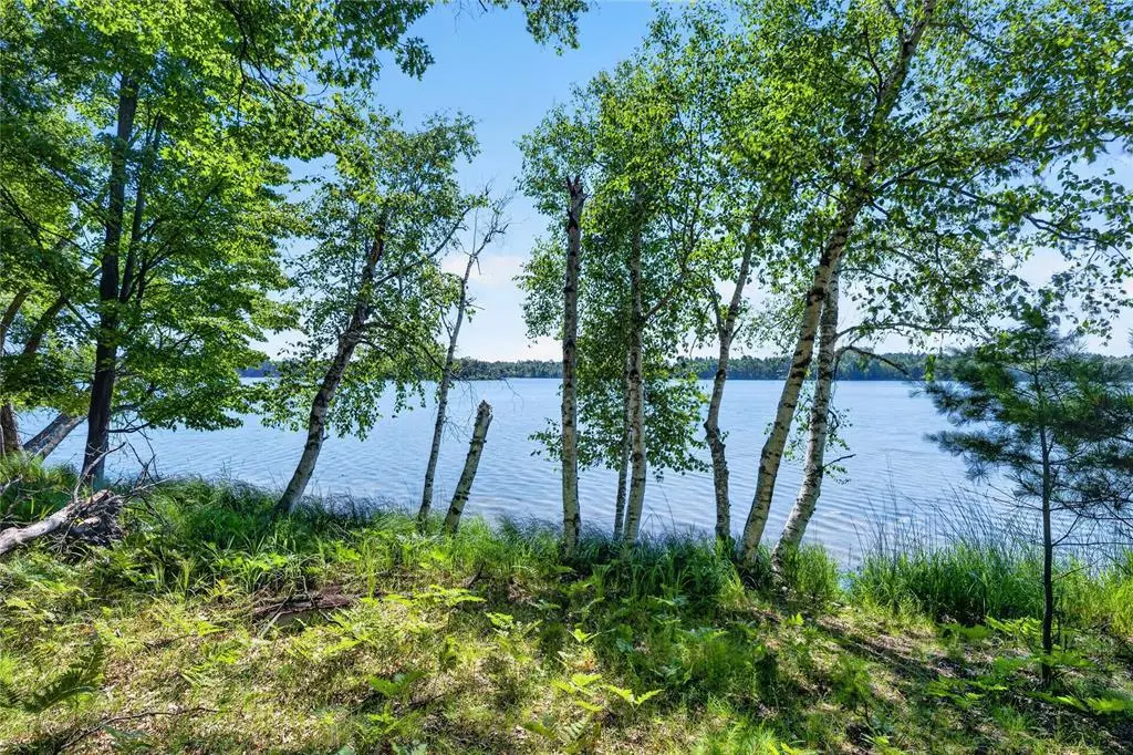 51260 Birch Lake Road, Barnes, WI 54873 - #1