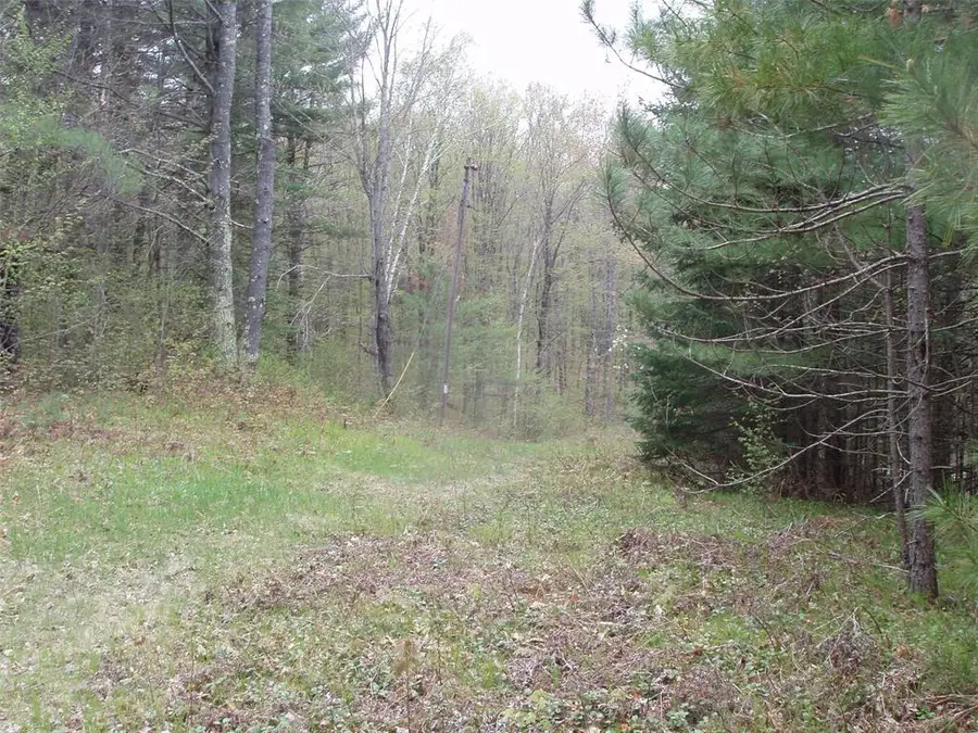 N16473 Patterson Lake Road, Park Falls, WI 54552 - #3
