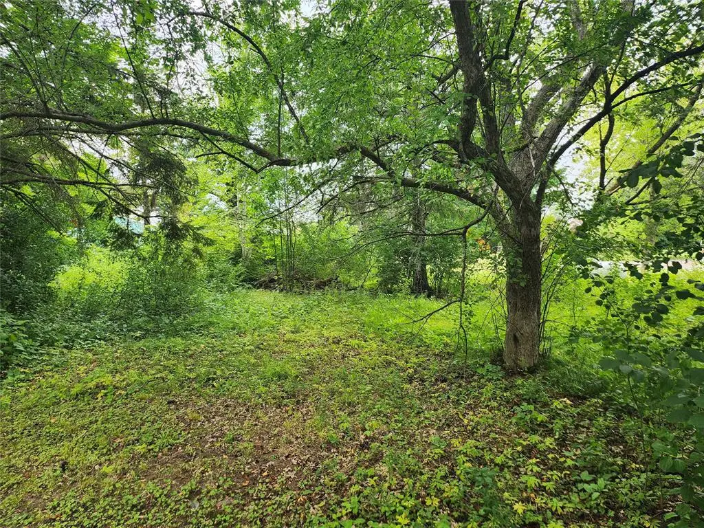 Lot 4 & 5 Main Street, Birchwood, WI 54817 - #1