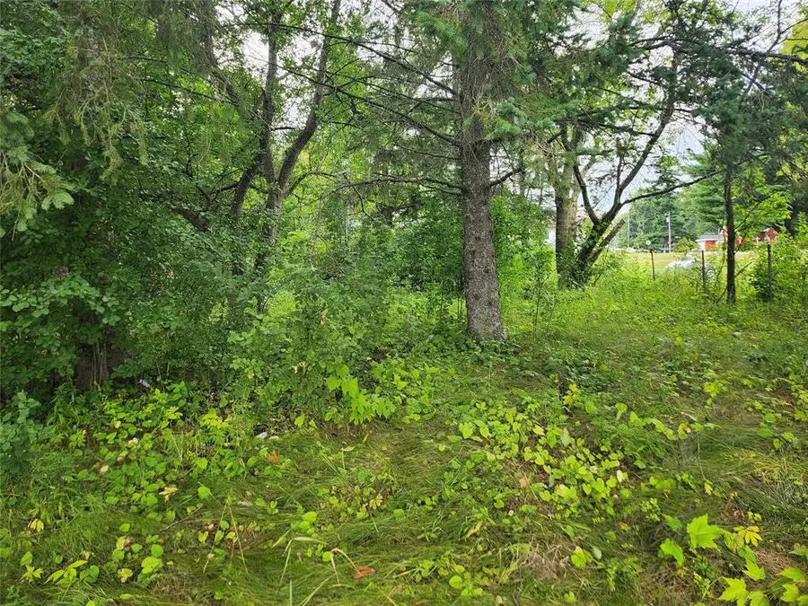 Lot 4 & 5 Main Street, Birchwood, WI 54817 - #2