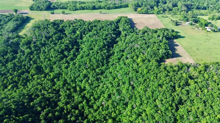 000 160th Avenue, Maiden Rock, WI 54750 - #3