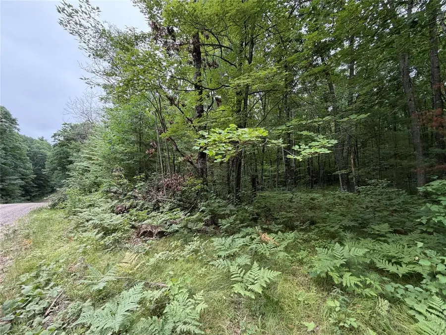 Lot 1 Nor Wis Road, Hayward, WI 54843 - #3