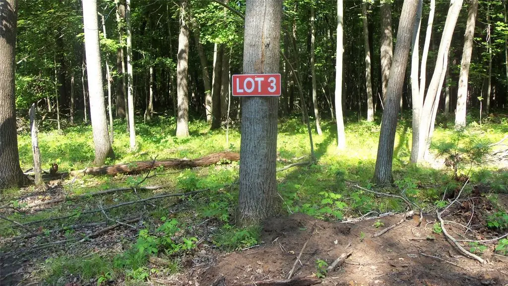 Lot 3 Howard Johnson Trl, Siren, WI 54872 - #1