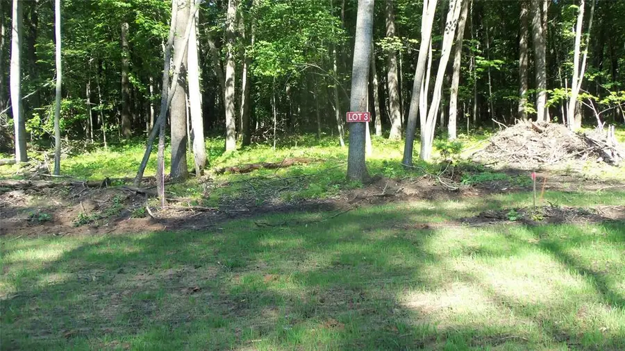 Lot 3 Howard Johnson Trl, Siren, WI 54872 - #2