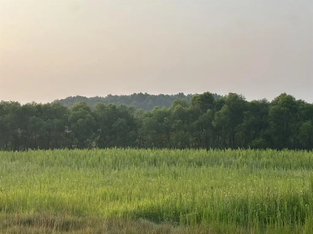 Lot 5 28th Avenue, Elk Mound, WI 54739 - #1