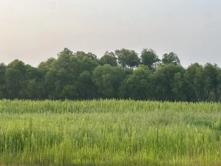 Lot 5 28th Avenue, Elk Mound, WI 54739 - #2