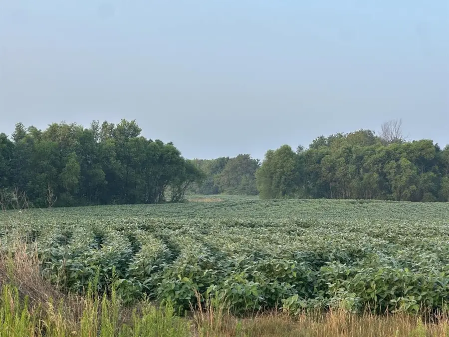 Lot 5 28th Avenue, Elk Mound, WI 54739 - #3