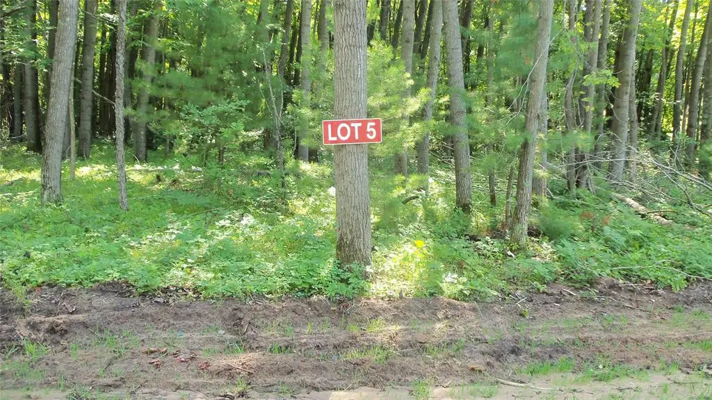 Lot 5 Howard Johnson Trail, Siren, WI 54872 - #1