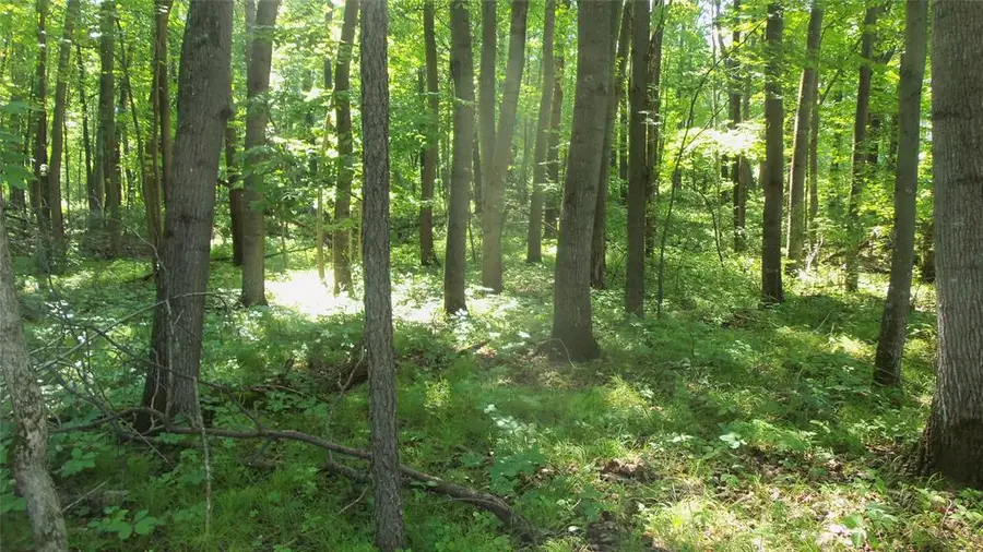 Lot 5 Howard Johnson Trail, Siren, WI 54872 - #3