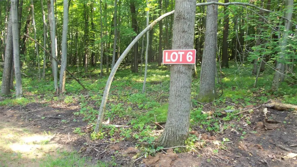 Lot 6 Howard Johnson Trl, Siren, WI 54872 - #1