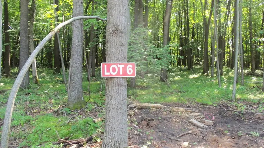 Lot 6 Howard Johnson Trl, Siren, WI 54872 - #2