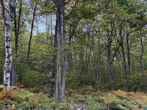 000 Hwy 2, Iron River, WI 54847