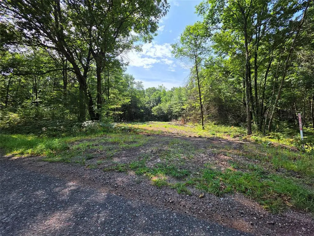 27687 295th Avenue, Holcombe, WI 54745 - #1