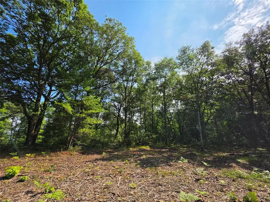27687 295th Avenue, Holcombe, WI 54745 - #3
