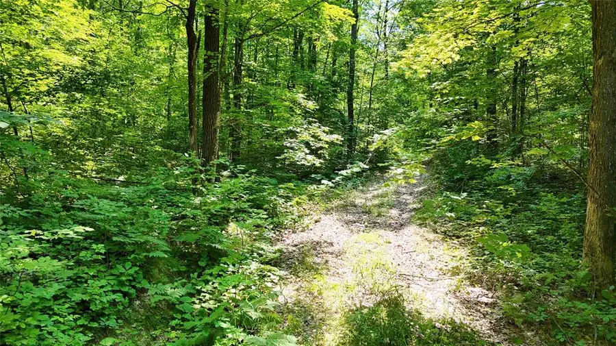 Lot 15 Wolf Lane, Hayward, WI 54843 - #2