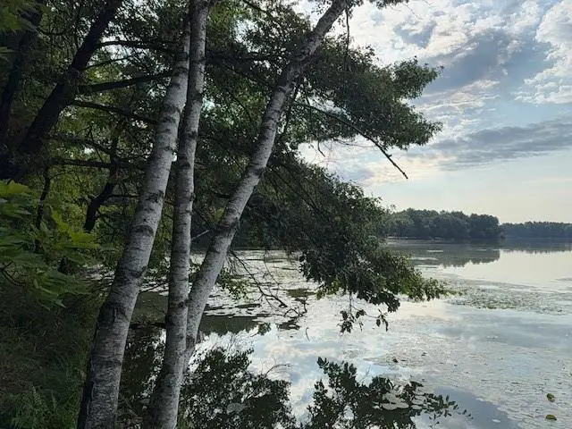 Lot 4 9 3/4 Avenue, Chetek, WI 54728 - #1